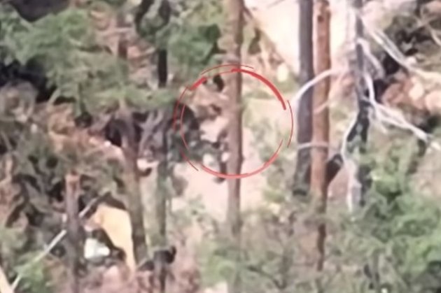 На Лиманському напрямку ЗСУ знищили ворожий пункт аеророзвідки (відео)