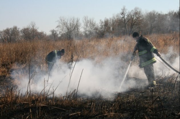 У Київській та Чернігівській областях горять торфяники: куди сягнув смог і чому він небезпечний