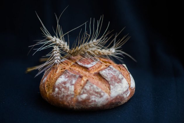 В Британії почнуть редагувати ДНК пшениці, щоб виробляти більш здоровий хліб 