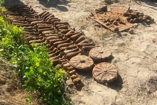 У Житомирі жінка знайшла 85 мін, коли копала картоплю (фото)