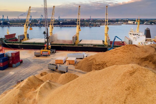 Україна почала перевозити зерно через порти Хорватії