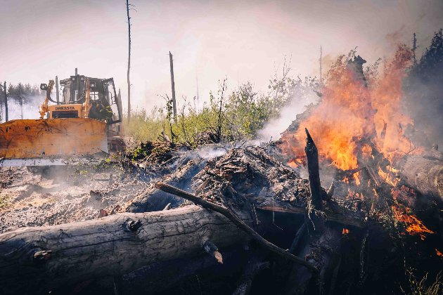 У Чорнобильській зоні другу добу гасять пожежу, залучили чотири сотні рятувальників (фото)