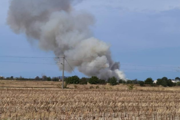 У Болгарії під час підготовки до авіашоу розбився навчальний літак