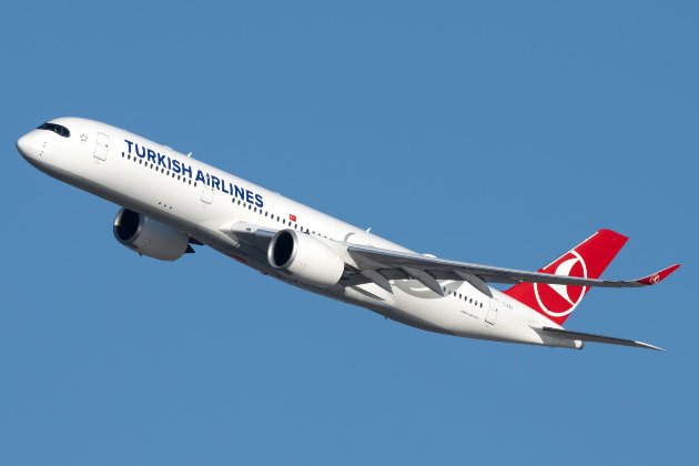 Пілот пасажирського літака Turkish Airlines помер під час рейсу