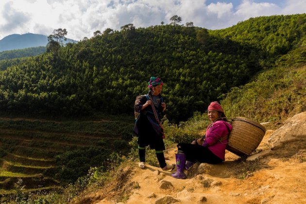 15 жовтня 2025 року — яке сьогодні свято та які пам’ятні події сталися цього дня