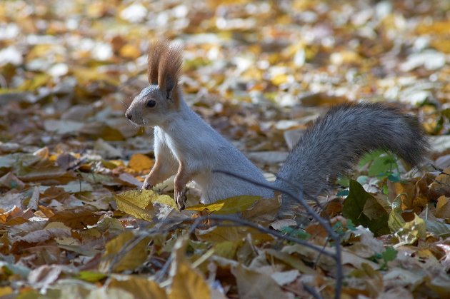 4 жовтня 2025 року — яке сьогодні свято та які пам’ятні події сталися цього дня