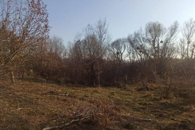 В Винницкой области охотник случайно подстрелил подростка, который выгуливал собаку (фото)