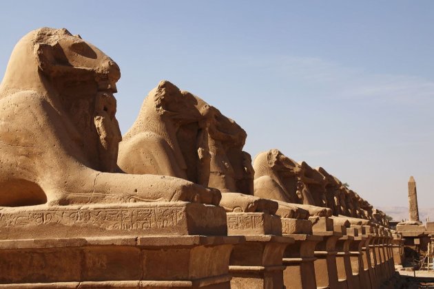 В Єгипті після реставрації відкрили Алею Сфінксів. Там можна побачити більше 1 тис. статуй
