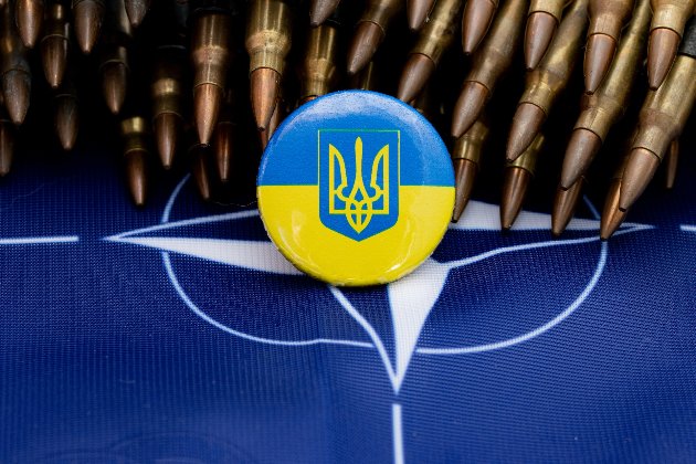 Україна розраховує на розгляд заявки щодо вступу в НАТО на наступному саміті