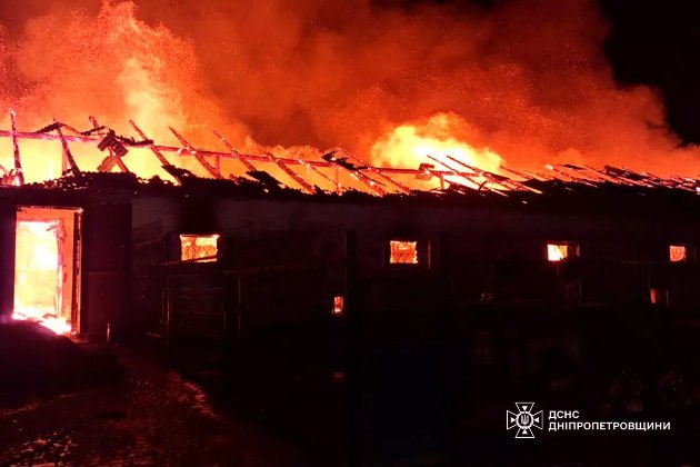 На Дніпропетровщині загорілася кінна ферма: загинули 140 тварин (фото)