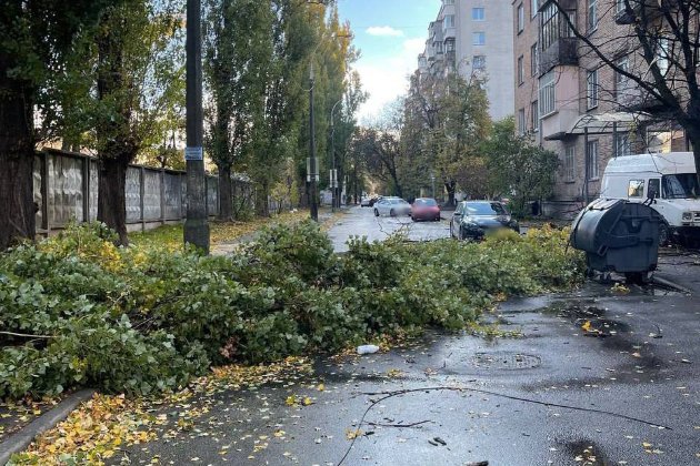 Зірвані дахи і повалені дерева: наслідки негоди у Києві (фото, відео)