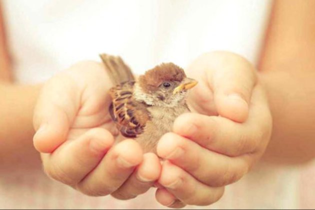 13 листопада 2025 року — яке сьогодні свято та які пам’ятні події сталися цього дня