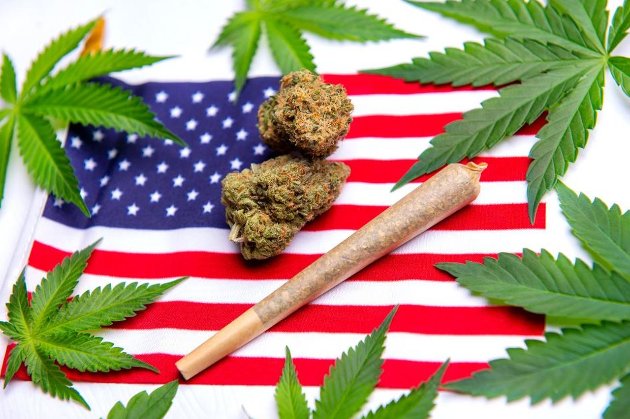Палата представників Конгресу США підтримала декриміналізацію марихуани