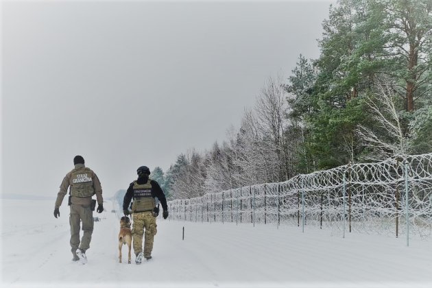 Мигранты с территории Беларуси снова штурмовали польскую границу. Один военный ранен
