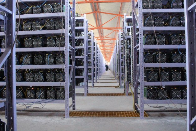 Під Києвом СБУ викрила криптоферму, яка «намайнила» електрики на 3,5 млн грн (фото)