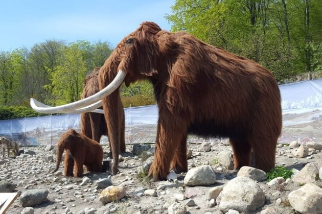 У Великобританії арехологи знайшли рештки пʼятьох мамонтів льодовикового періоду