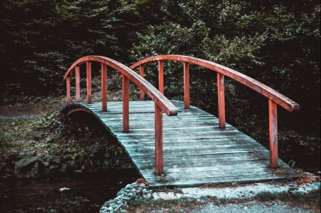 В Соединенных Штатах мужчина арендовал кран и украл мост из местного парка