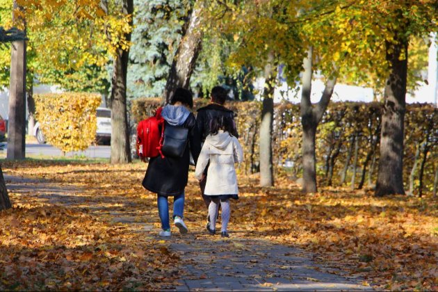 У Києві цьогорічна осінь була однією з найтепліших з 1881 року