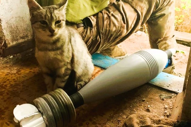 4 грудня 2025 року — яке сьогодні свято та які пам’ятні події сталися цього дня