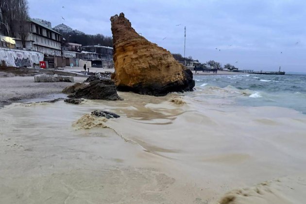 На узбережжі Одеси виявили нафтові плями та загиблих птахів (фото)