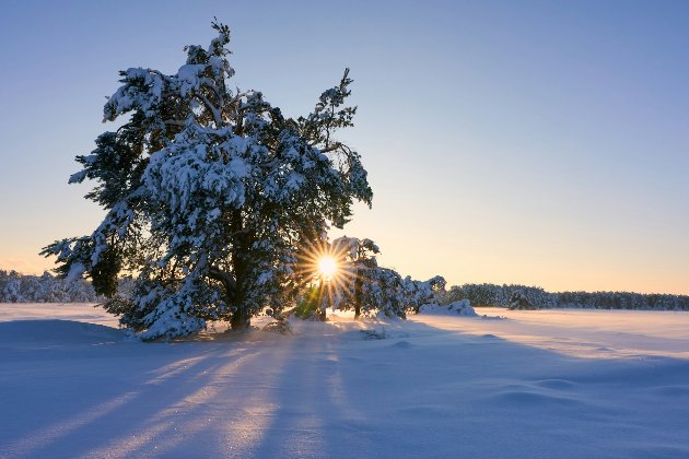 21 грудня 2025 року — яке сьогодні свято та які пам’ятні події сталися цього дня