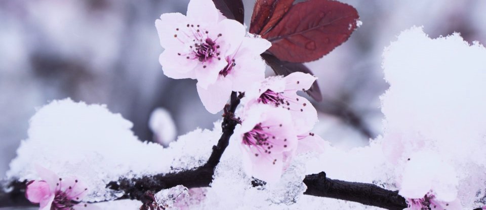 Кліматичні рекорди України