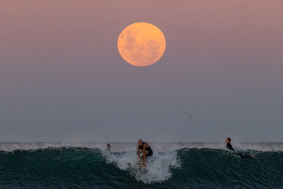 Сідней / Getty Images