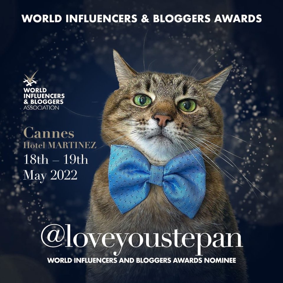 World Influencers and Bloggers Awards.