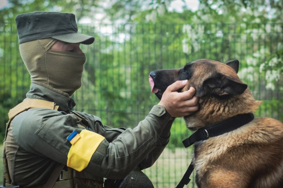 Як живе пес Макс, якого окупанти покинули в Україні