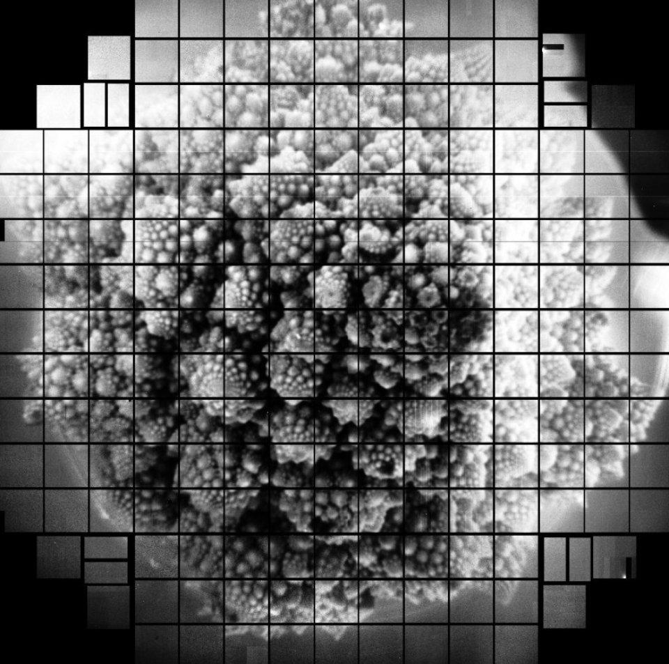 Фотографія Броколі, зроблена 3200-мегапіксельною камерою