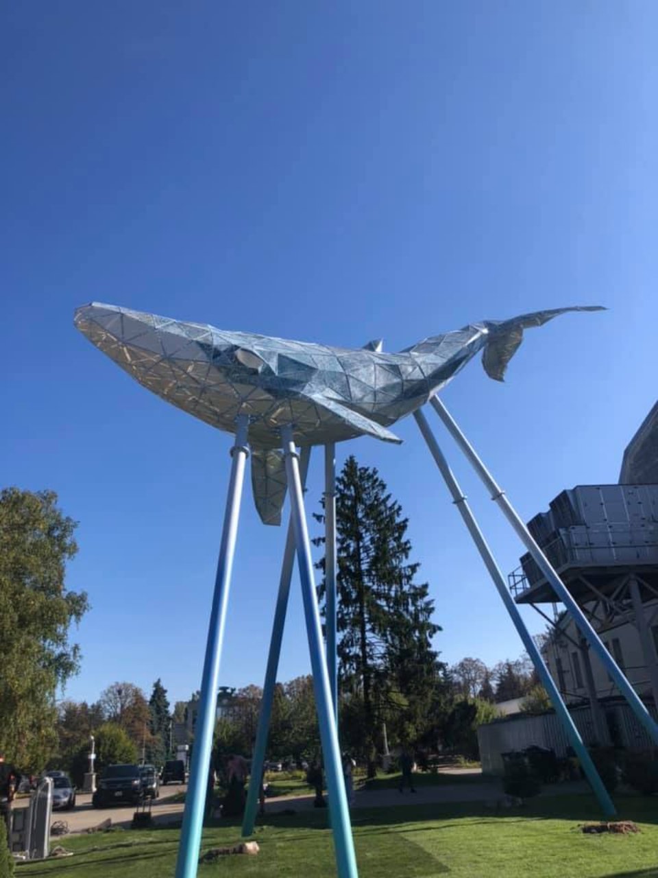Київський кит