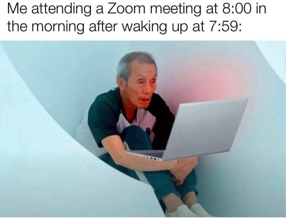 А вы тоже обожаете совещания в Zoom?