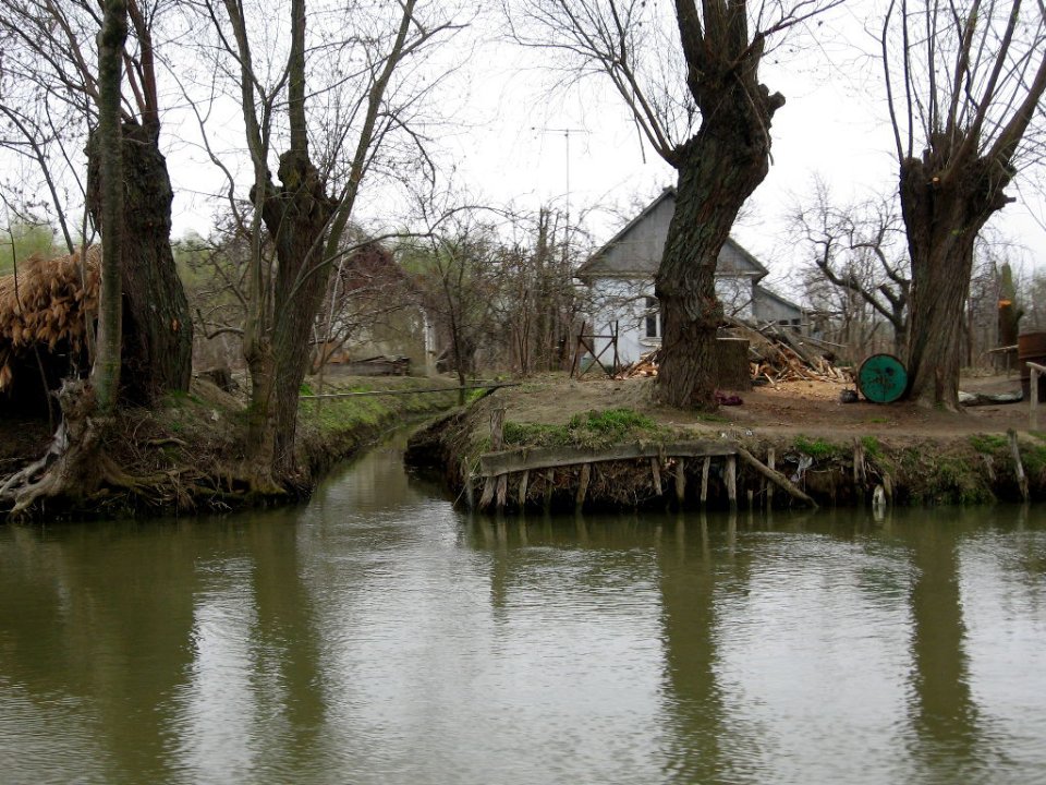 Вилкове