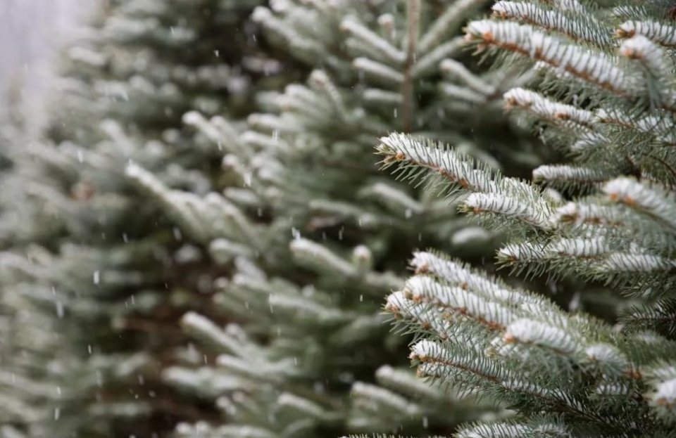 Прогноз погоди зима 2025-2026