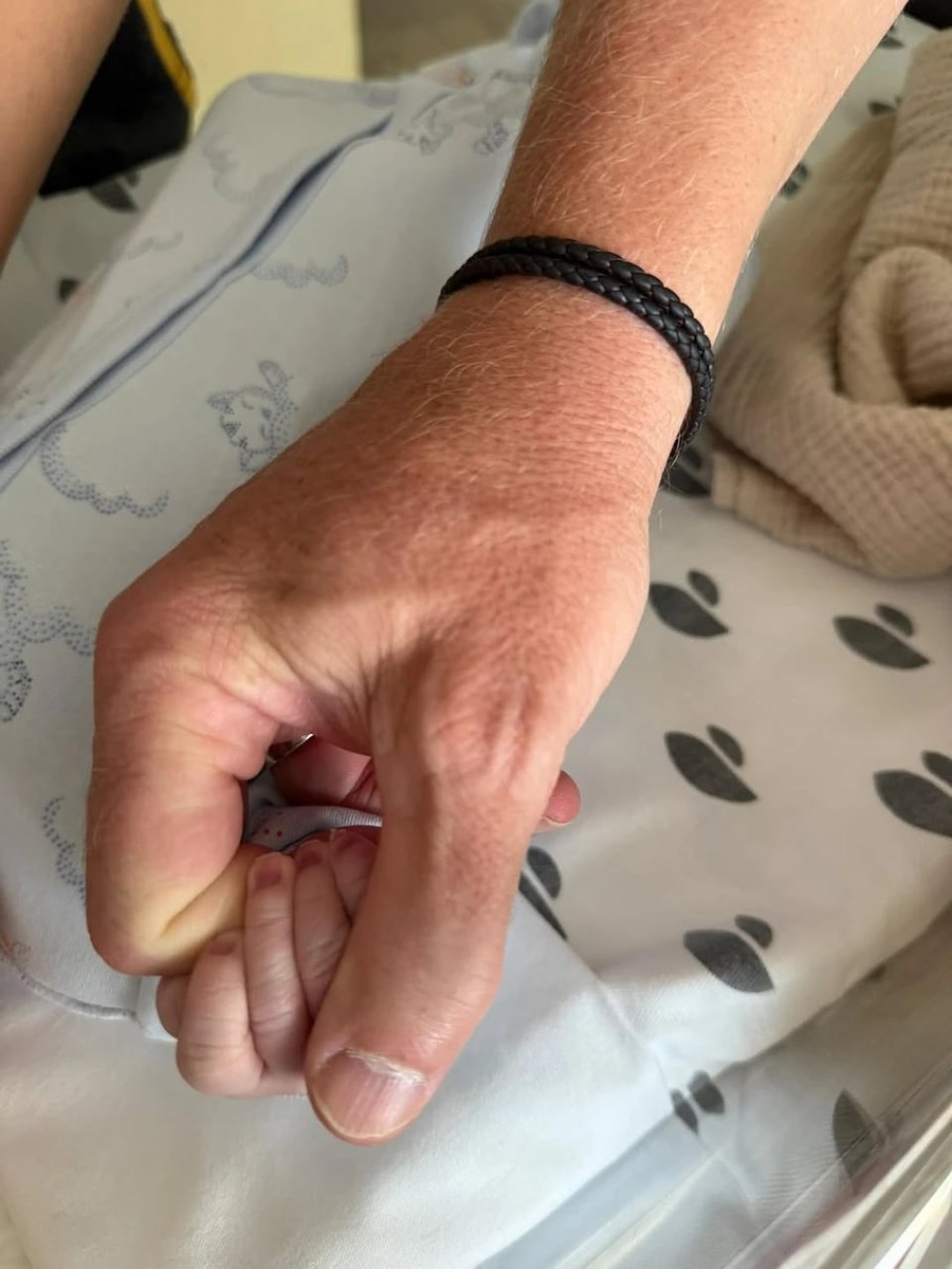 Сергій Реброва дружина діти