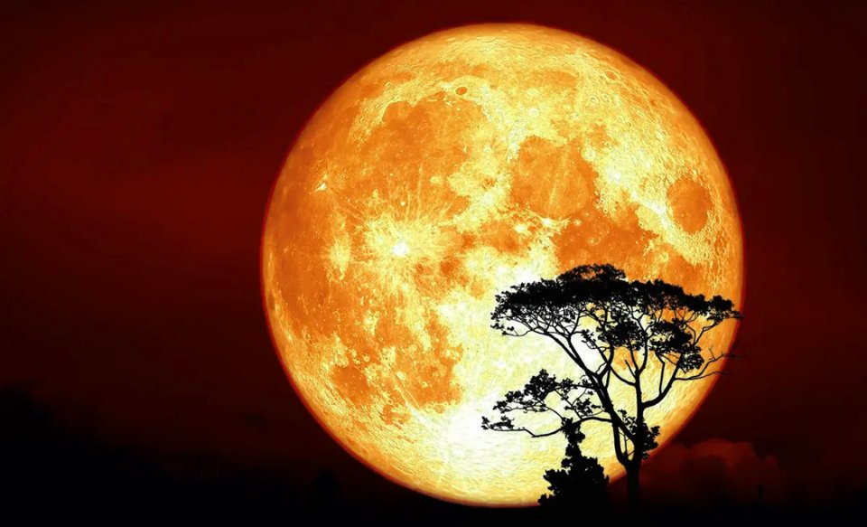 Повню у жовтні називають Місяцем мисливців Місяць мисливців