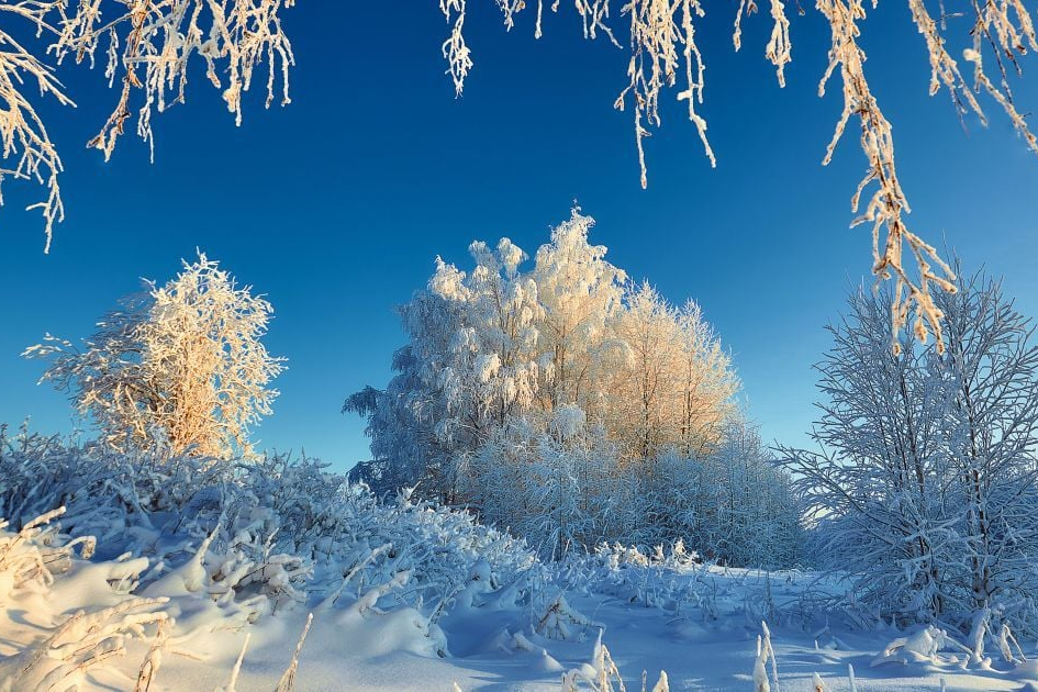 На Європу суне хвиля сибірських морозів: погода в останній місяць зими може різко змінитися