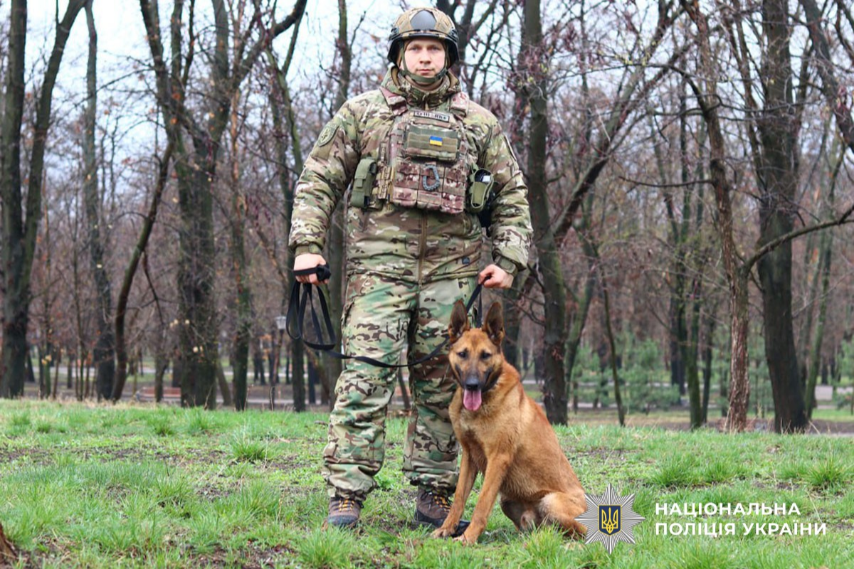 На Донеччині службовий собака розшукав зниклу 87-річну жінку — вона вже була на межі загибелі