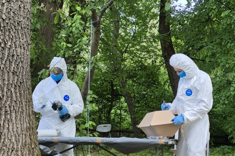 Україна планує у вересні почати ексгумації українців на території Польщі — заступник міністра культури