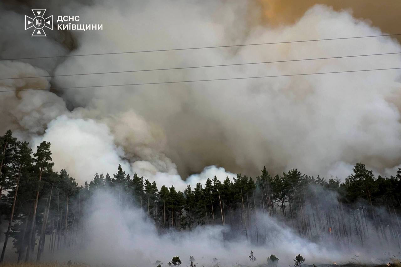 Кілометри лісу у вогні під Києвом: на боротьбу з масштабною пожежею підняли авіацію ДСНС (фото, відео)