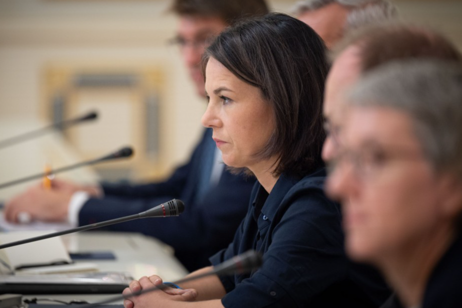 Україна зміцнить Євросоюз в осяжному майбутньому — глава МЗС Німеччини