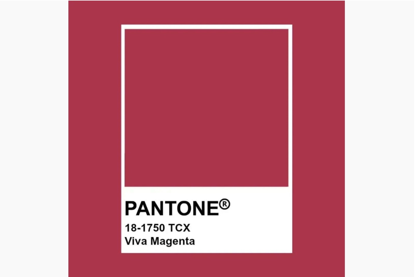 Viva Magenta — головний колір 2023 року за версією Pantone